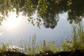 Summer landscape - a calm river with reeds and cattail along the banks and the reflection of trees in the water Royalty Free Stock Photo