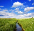 Summer landscape, canal