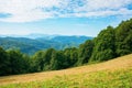 summer landscape of carpathian mountains Royalty Free Stock Photo