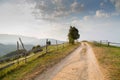 Summer Landscape in The Carpathian Mountains Royalty Free Stock Photo