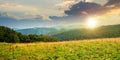 summer landscape of carpathian mountains at sunset Royalty Free Stock Photo