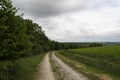 Summer landscape with cereal fields on a cloudy day Royalty Free Stock Photo