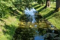 Summer landscape in a city park in Europe. Small city canal in the park