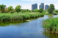 Summer landscape with clear water in lake, trees and birds in Delta Vacaresti in Bucharest, Romania, wild nature in a beautiful Royalty Free Stock Photo