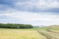 Summer landscape in cloudy day. Dirty road cross the green meadow with wild herbs. Mountain on a lake coast