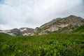 Summer landscape on a cloudy day in a mountain valley with flowers and snow. Russia, Adygea