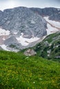 Summer landscape on a cloudy day in the mountains with flowers and snow. Russia, Adygea