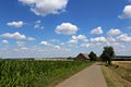 Summer landscape with cornfield and old barn Royalty Free Stock Photo