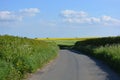 Summer landscape and a country lane, Dorset, England Royalty Free Stock Photo