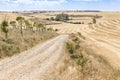 Summer landscape with a country road on a summer day between Hornillos del Camino and Hontanas, Burgos, Spain Royalty Free Stock Photo