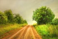 Summer landscape country road Royalty Free Stock Photo