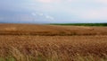 Summer Landscape in Czech Republic