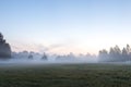 Summer landscape of dense fog early in the morning in the woods