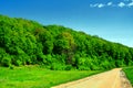 summer landscape. dense forest on a sunny day. Beautiful spruce and pine forests.An Royalty Free Stock Photo