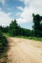 Summer landscape, a dirt road with green fir trees, trees on the background of a blue sky with white clouds Royalty Free Stock Photo