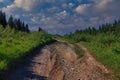 Summer landscape dirt road to the top of the mountain surrounded by a fir forest against the blue sky Royalty Free Stock Photo