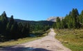 Summer landscape of the dolomites italy Royalty Free Stock Photo