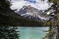 Summer landscape in Emerald lake, Yoho National Park, Canada Royalty Free Stock Photo