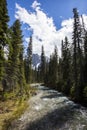 Summer landscape in Emerald lake, Yoho National Park, Canada Royalty Free Stock Photo