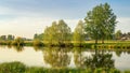 Summer landscape fast of the Ural river with the trees on the Bank of Russia, June Royalty Free Stock Photo