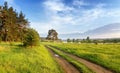 Summer landscape fast of the Ural river with the trees on the Bank of Russia, June Royalty Free Stock Photo