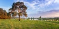 Summer landscape fast of the Ural river with the trees on the Bank of Russia, June