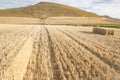 Summer landscape of a field of bales of hay in Viloria de Rioja, Burgos, Spain Royalty Free Stock Photo