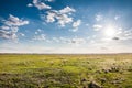 Summer landscape with field of green grass and sun in blue cloudy sky Royalty Free Stock Photo