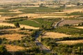 Summer landscape of fields and crops of vines and olive trees