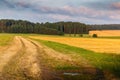 Summer Landscape with fields, forest and clouds. Czech farmland