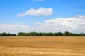 landscape with fields of golden wheat and blue sky with clouds Royalty Free Stock Photo