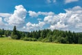 Summer landscape with forest, cottage and blue sky