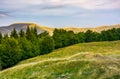 Summer landscape with forested hills Royalty Free Stock Photo