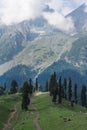 Summer landscape, forests with mountain in Sonamarg, Jammu and Kashmir in India Royalty Free Stock Photo