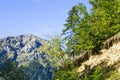 Summer landscape frame of mountain range and forest