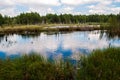 Summer landscape full of lakes, swamps and reeds in South Bohemia in a place called Borkovice