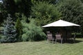 Summer landscape. A gazebo on a meadow in the background of trees Royalty Free Stock Photo