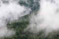 Summer landscape in Gorgany region of Carpathian Mountains