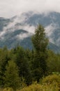 Summer landscape in Gorgany region of Carpathian Mountains