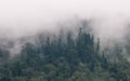 Summer landscape in Gorgany region of Carpathian Mountains