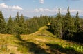 Summer landscape in Gorgany region of Carpathian Mountains