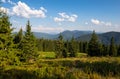 Summer landscape in Gorgany region of Carpathian Mountains