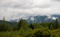 Summer landscape in Gorgany region of Carpathian Mountains