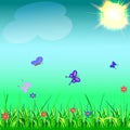 Summer landscape. Grass, flowers, butterflies fly, the sun shines Royalty Free Stock Photo
