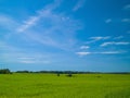 Summer landscape with green field blue sky with clouds Royalty Free Stock Photo