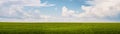 Summer landscape green field and blue sky with clouds web banner Royalty Free Stock Photo