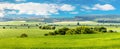 Summer landscape with a green field, trees in the field, a forest in the distance and a blue sky with white clouds. Green grass in Royalty Free Stock Photo