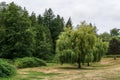 Summer landscape of green forest and meadow with large trees in the park cloudy sky Royalty Free Stock Photo