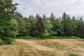 Summer landscape of green forest and meadow with large trees in the park cloudy sky Royalty Free Stock Photo