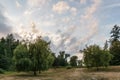 Summer landscape of green forest and meadow with large trees in the park cloudy sky Royalty Free Stock Photo